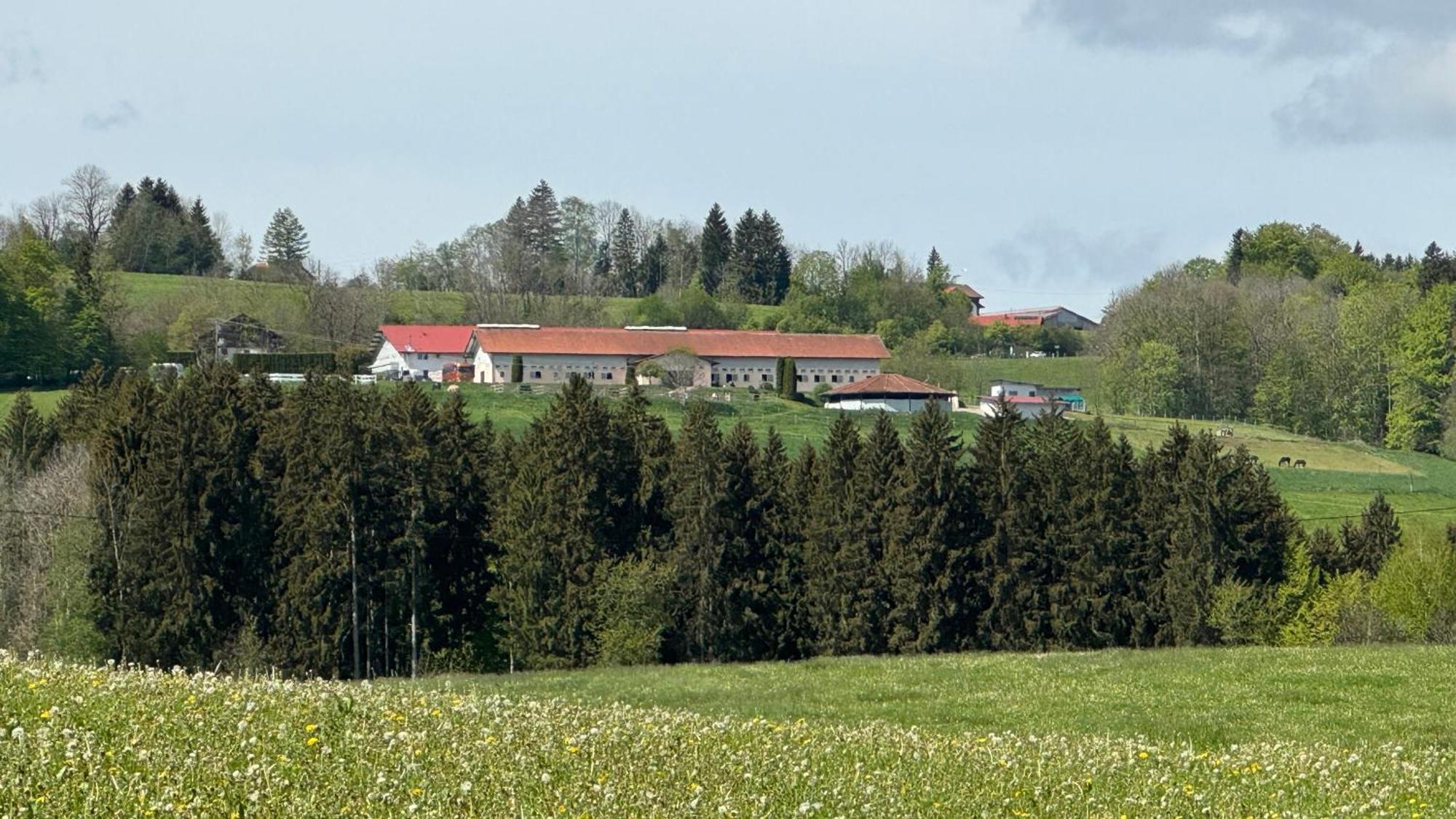 Апартаменты Gut Buchenhof Buchenberg  Экстерьер фото
